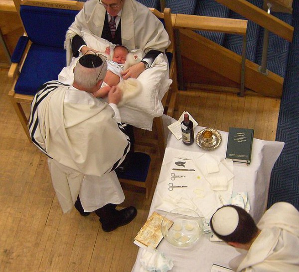 Preparations for the brit milah. Covenant, Abraham
