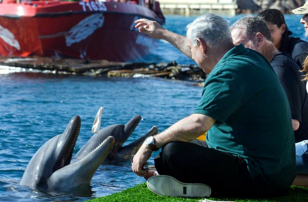 Benjamin Netanyahu brought Peter Greenberg to Dolphin Reef Netanyahu-Greenberg-Royal Tour-Dolphin Reef-Eilat 2013