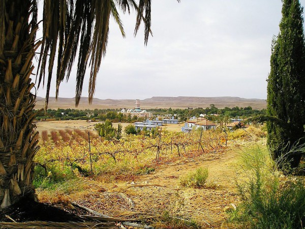 Neot Semadar Ansicht Kibbutz-Ne'ot Smadar-Negev