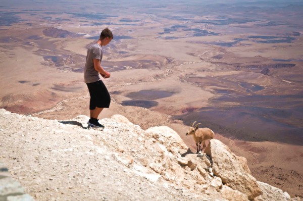 An Israeli lad offers a morsel to a mountain goat at Makhtesh Ramon lad-morsel-goat-Makhtesh Ramon-Negev