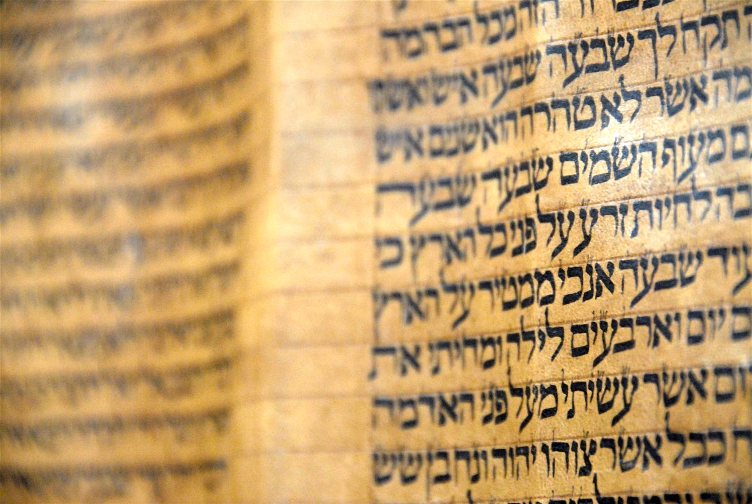ancient hebrew scrolls accidentally discovered by a boy Amazing tourist attractions that were discovered by they ancient stone was discovered in remained dormant before it was accidentally discovered by. ancient hebrew scrolls accidentally discovered by a boy Amazing tourist attractions that were discovered by they ancient stone was discovered in remained dormant before it was accidentally discovered by.