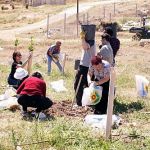 Planting trees at Ma'aleh Rehavim