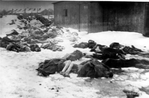 Auschwitz inmates murdered before liberation on January 17, 1945 Auschwitz inmates murdered before liberation on January 17, 1945