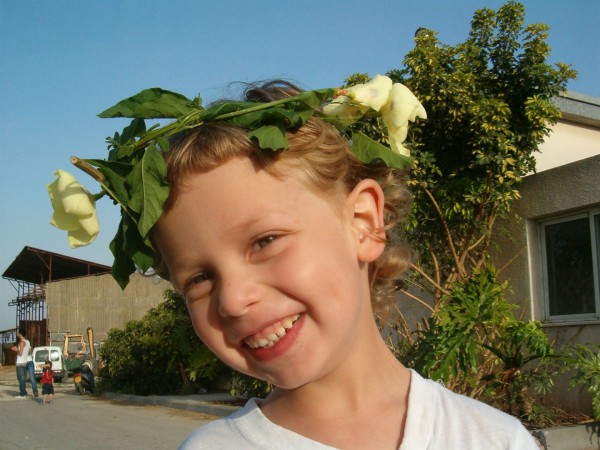 It is traditional in Israel for children to make and wear zer prachim (floral head-wreath) on Shavuot. As an agricultural holiday, the use of plants and flowers for decorating at Shavuot is fairly common. As well, Jewish legend has it that Mount Sinai burst into flower at the giving of the Torah. It is traditional in Israel for children to make and wear zer prachim (floral head-wreath) on Shavuot. As an agricultural holiday, the use of plants and flowers for decorating at Shavuot is fairly common. As well, Jewish legend has it that Mount Sinai burst into flower at the giving of the Torah.