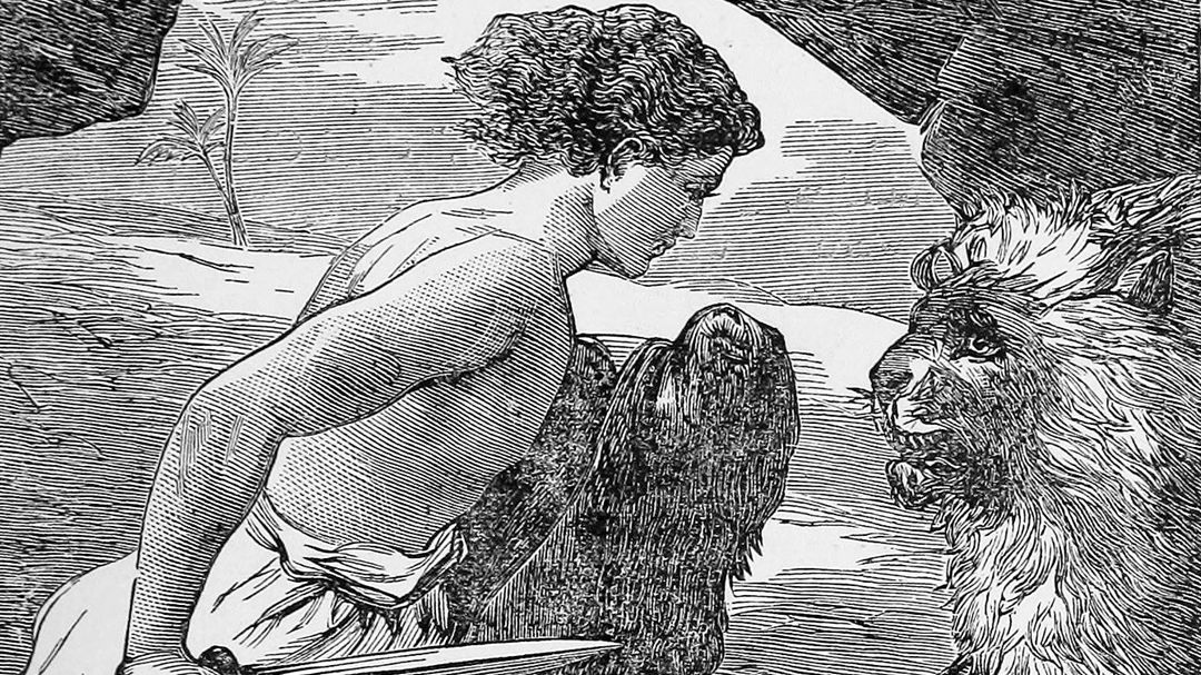 Do Good Shepherds Break the Legs of Sheep Who Wander?