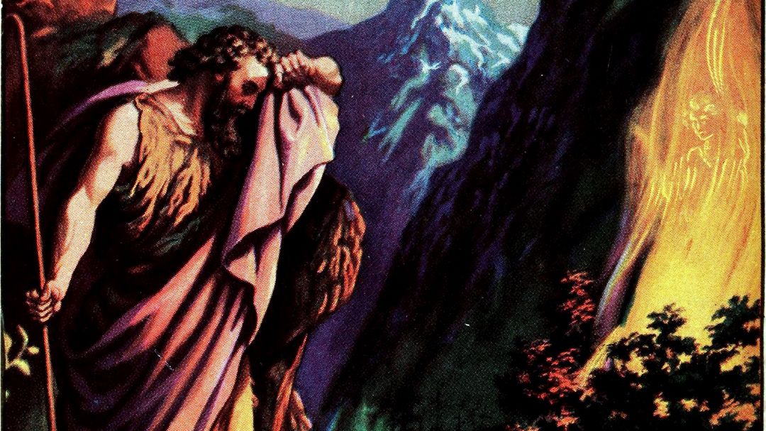 Do Good Shepherds Break the Legs of Sheep Who Wander?