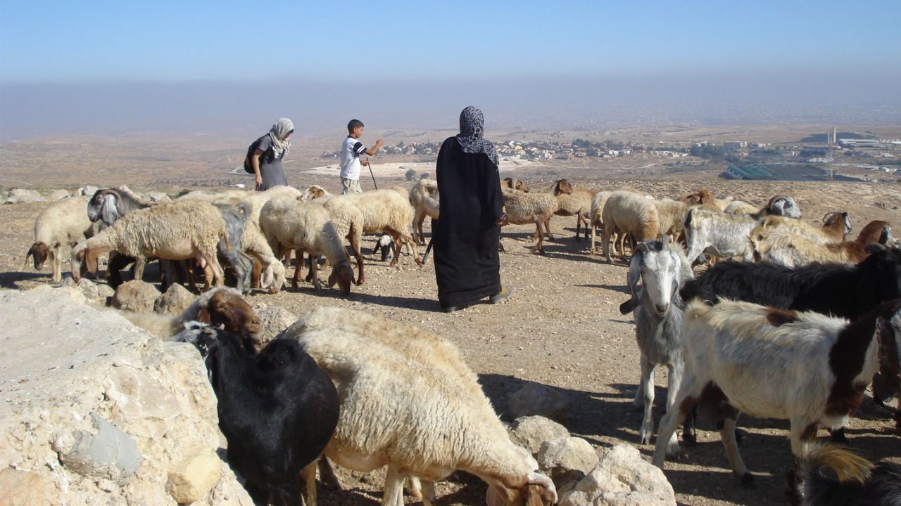 Do Good Shepherds Break the Legs of Sheep Who Wander?