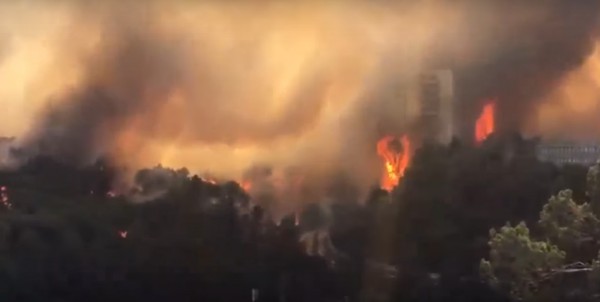 Haifa, arson, 2016 Israel fire
